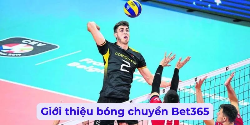 Tổng quan đôi nét về bóng chuyền Bet365