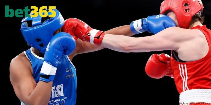 Tầm ảnh hưởng quan trọng của bộ môn boxing trên thị trường