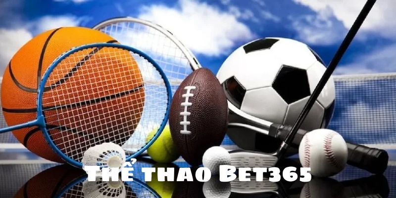 Các thể loại thể thao được ưa chuộng tại Bet365