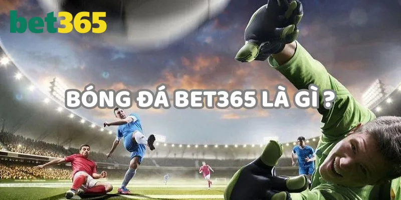 Tìm hiểu sơ lược về bóng đá Bet365